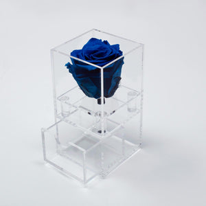 1 Single Rose with Drawer Preserved