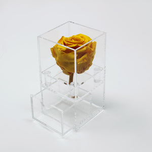 1 Single Rose with Drawer Preserved