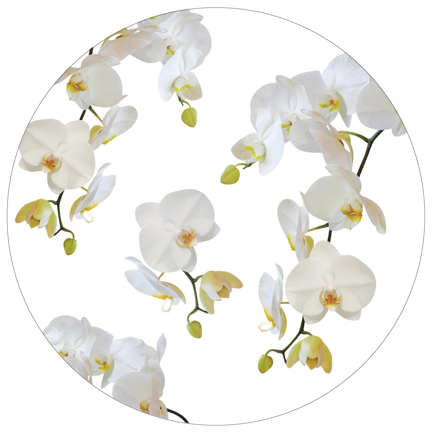 Placemats - Orchids