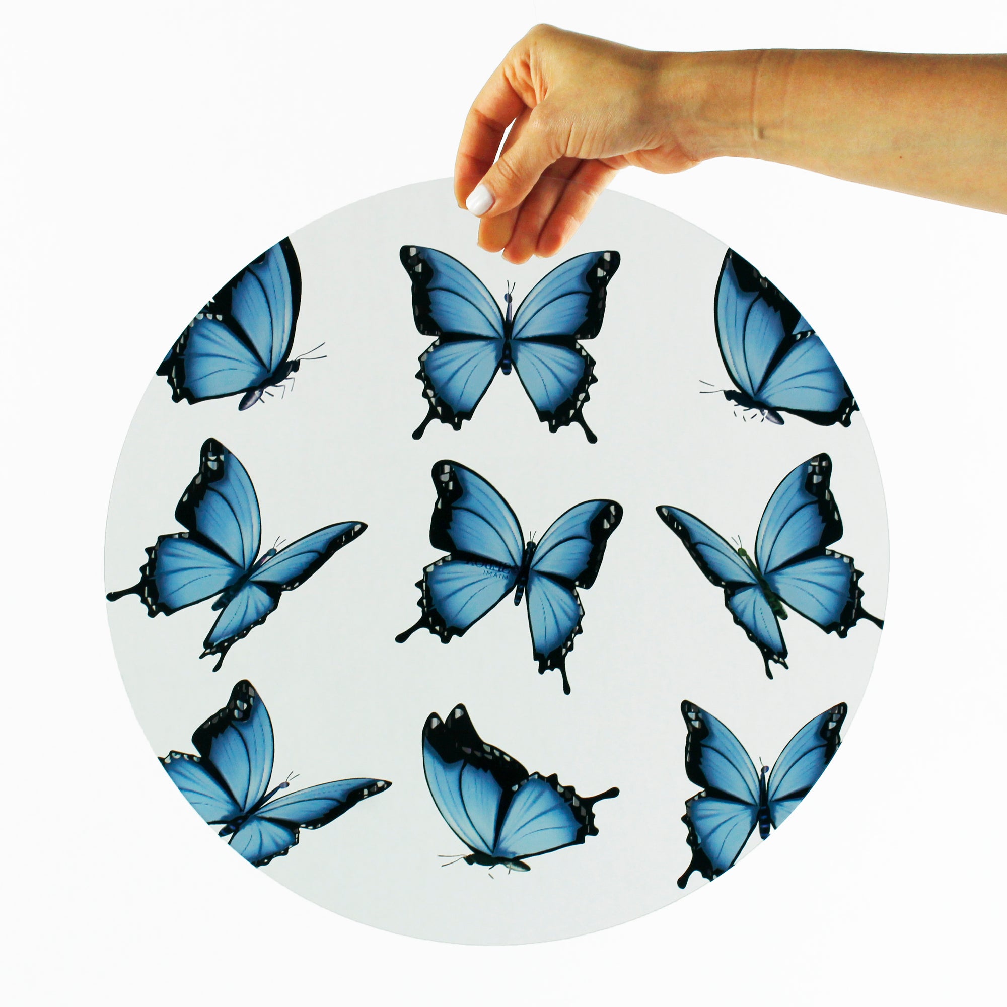 Placemats - Butterfly Effect