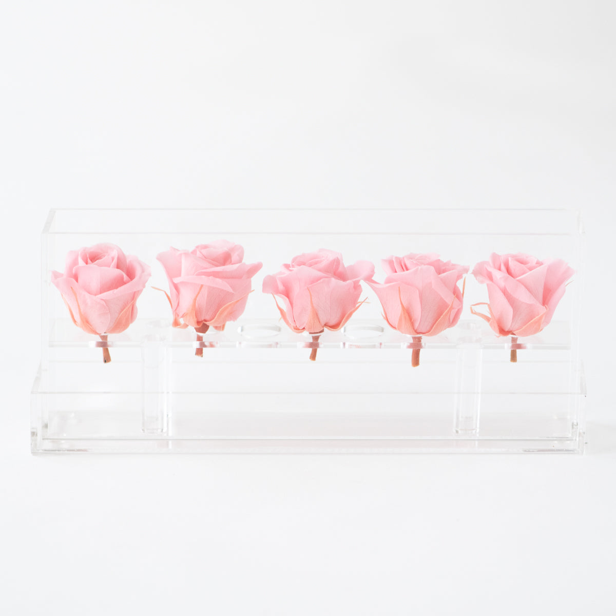 5 Roses Mini Preserved