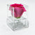 1 Single Rosebox